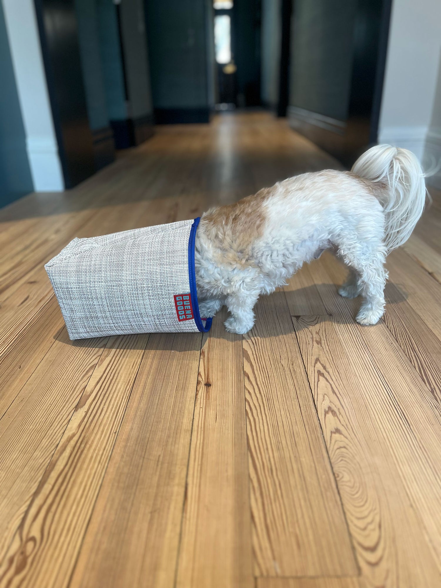 the Bin | waste basket